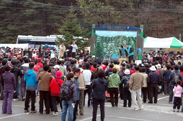 소양강댐 벚꽃 축제