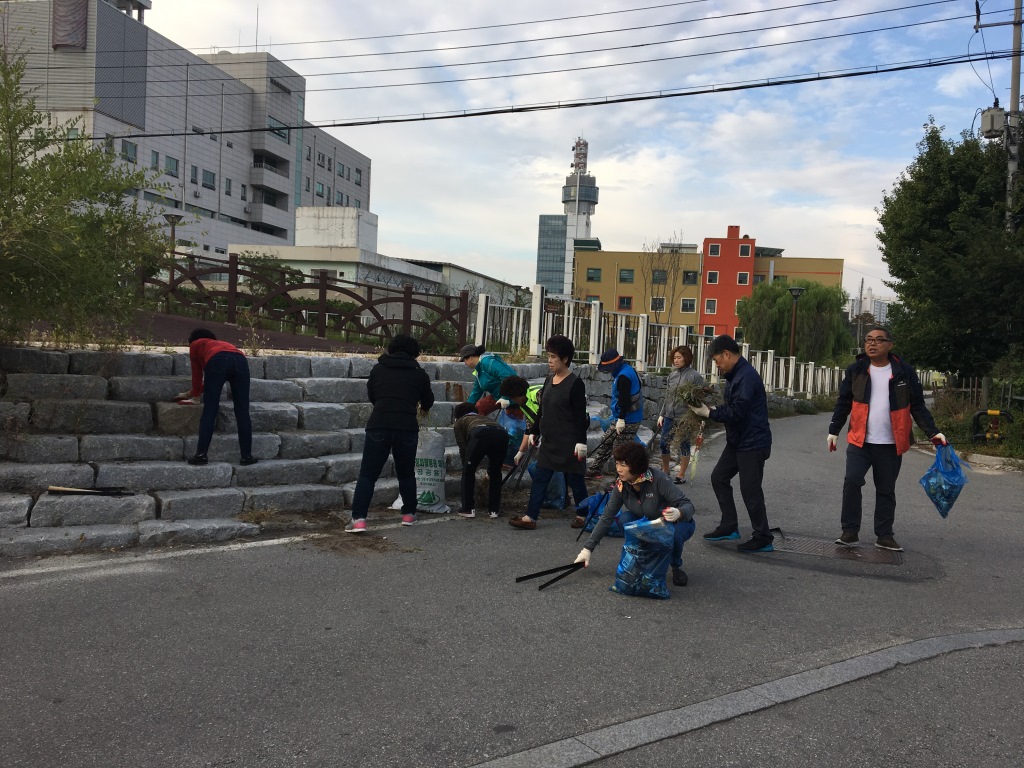 약사명동 주민자치위원회, 약사천 환경정화 활동약사명동 주민자치위원회 환경정화 활동(2018.09.18.)