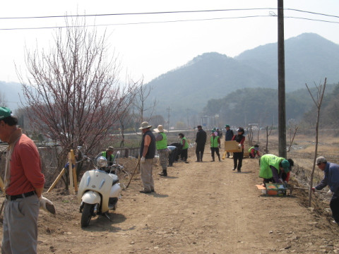 지내천 야생화 식재