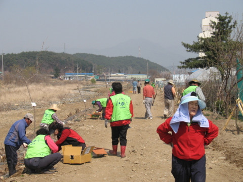 지내천 야생화 식재