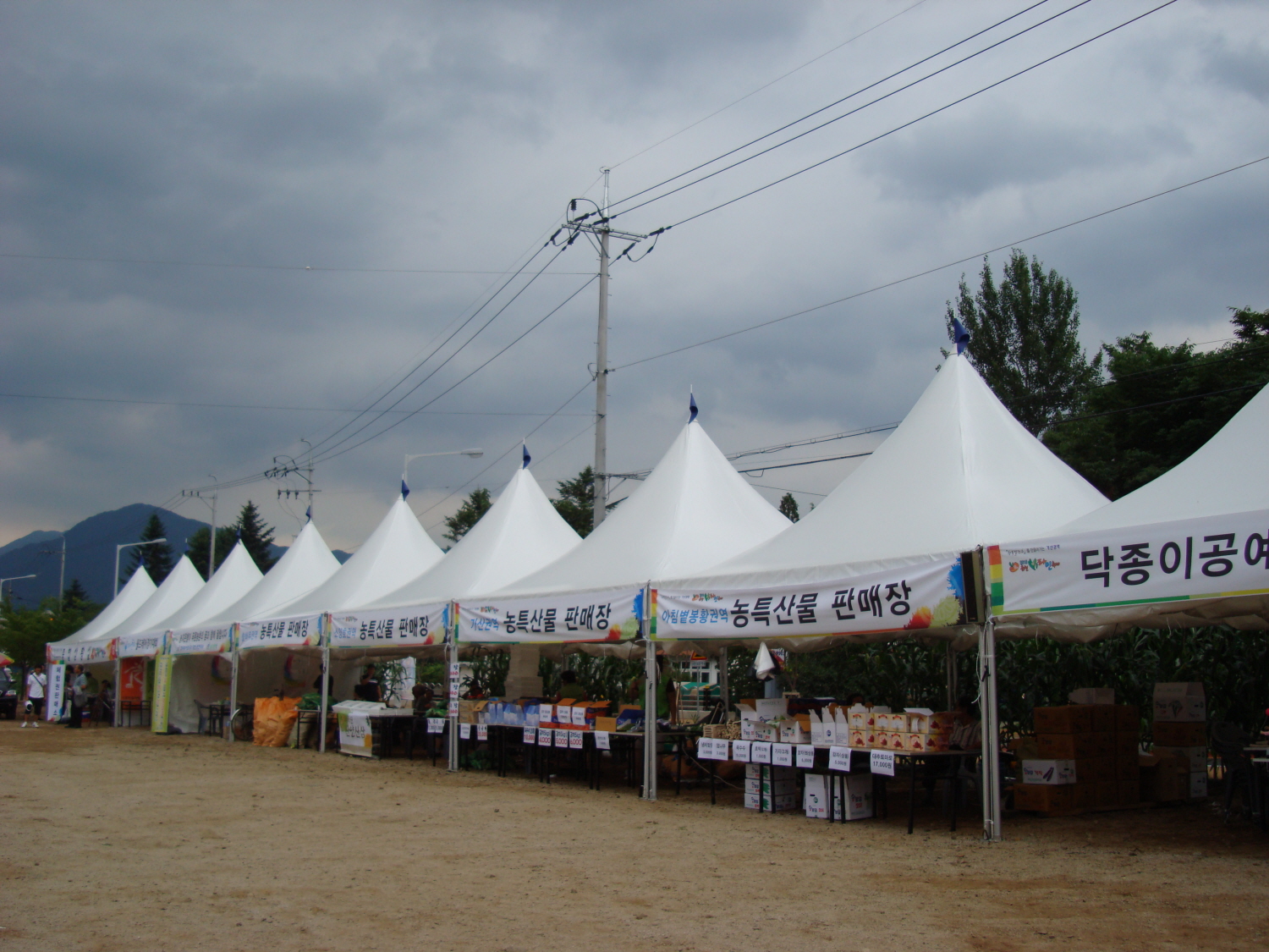 2010춘천비타민축제 개막전