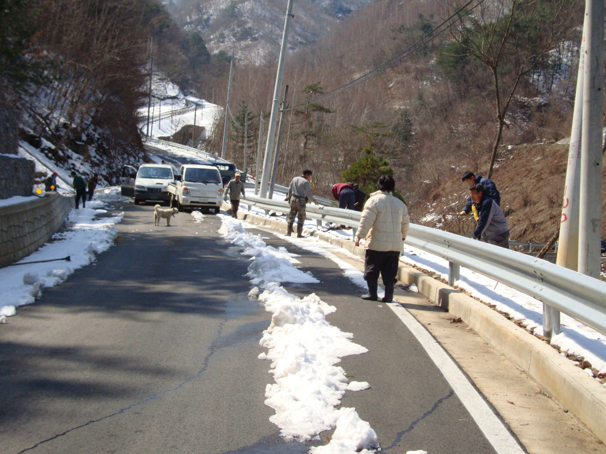 품걸1리 