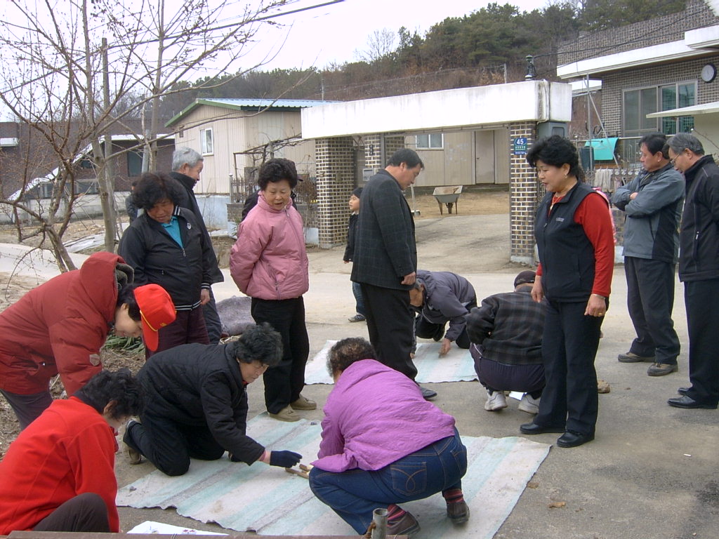 만천1리 양지마을 척사대회