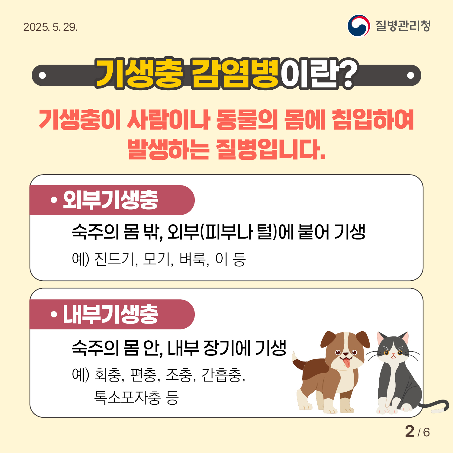 기생충감염병 예방수칙