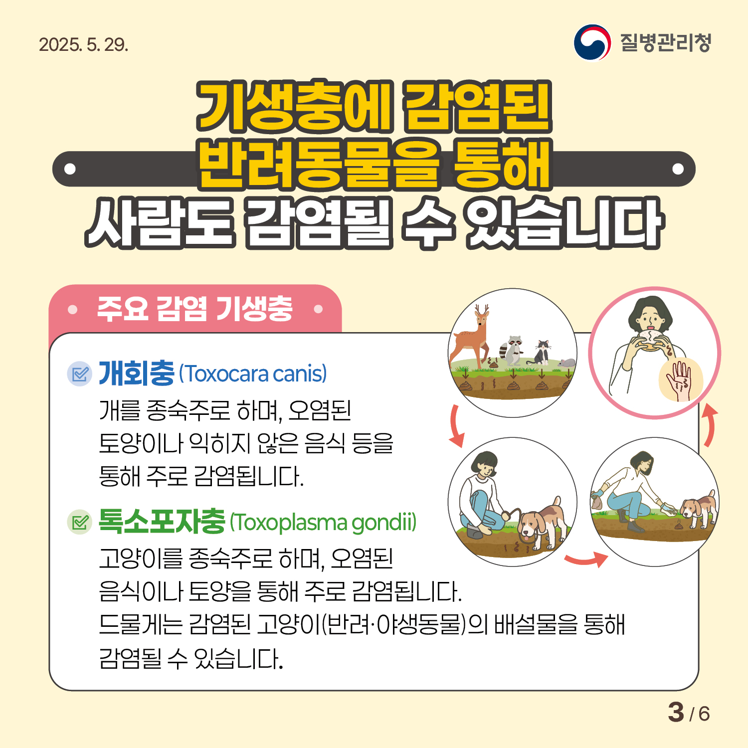 기생충감염병 예방수칙
