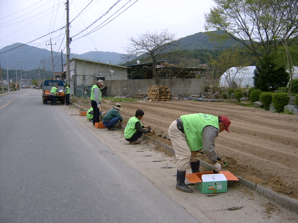 도로변 야생화 식재