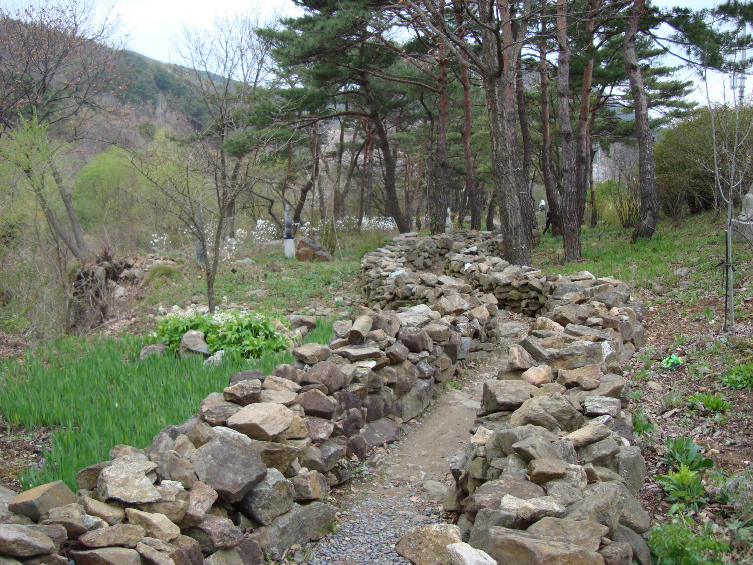 가/농/추 고운식물원 견학