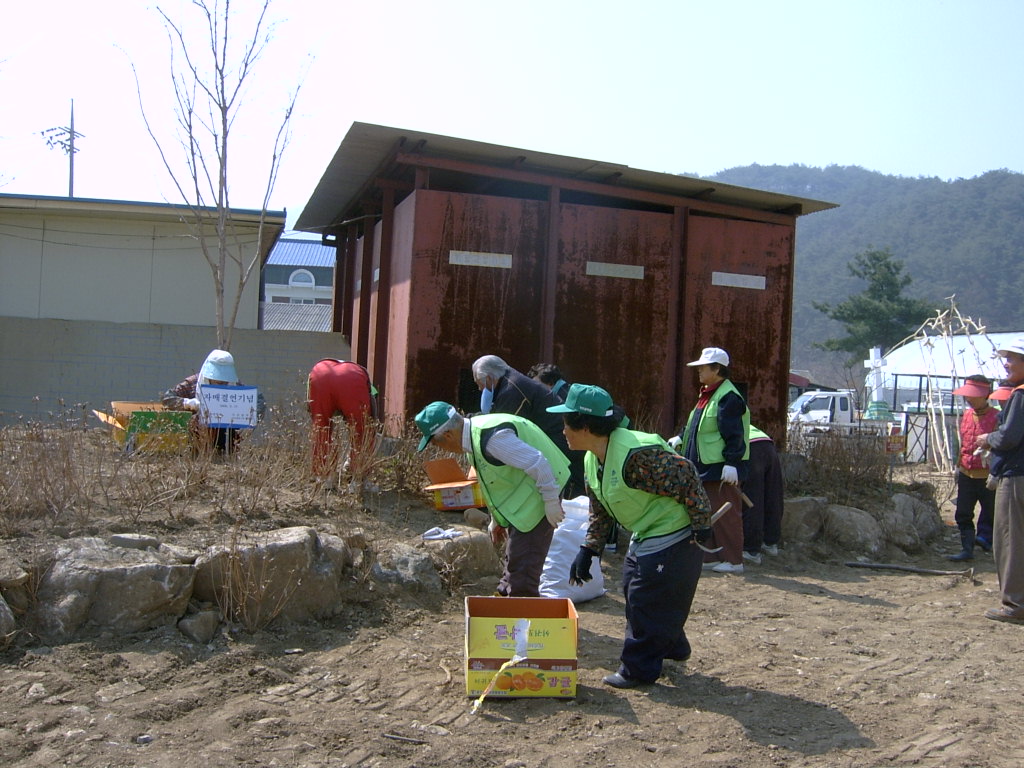 지내1리춘천 가꾸미 운동