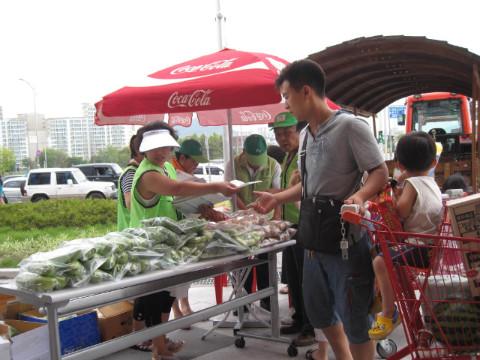 2010 춘천 비타민 축제 홍보