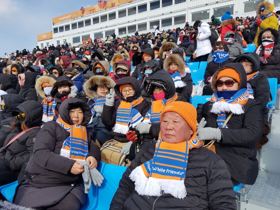2018 평창 동계올림픽 응원서포터즈 경기 참여