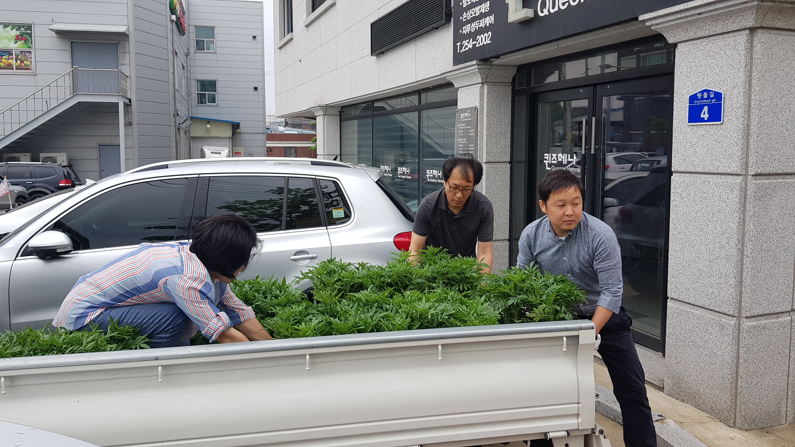 만천천 일원 여름꽃 식재