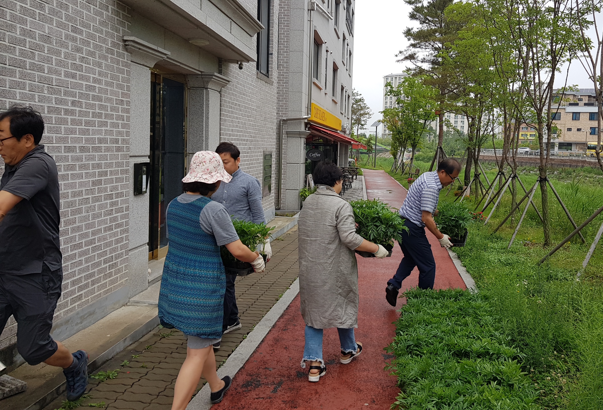 만천천 일원 여름꽃 식재