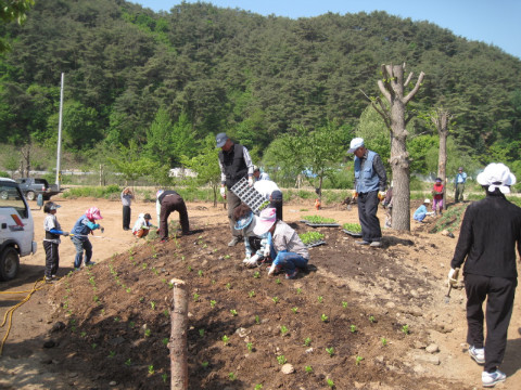 가산골마을 축제장 환경정비