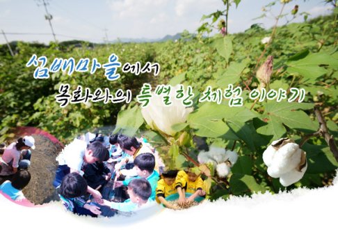 목화와의 특별한 체헙이야기