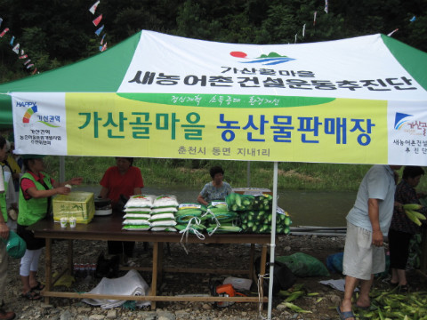 제1회 옥수수축제 이모저모