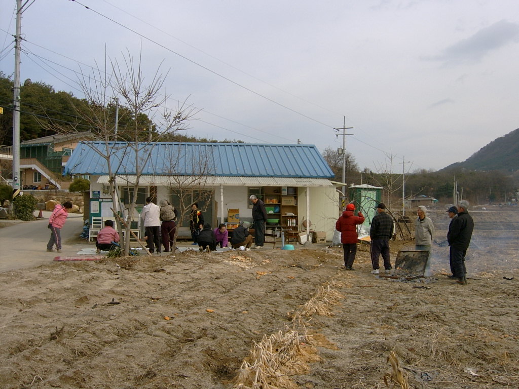 만천1리 양지마을 척사대회