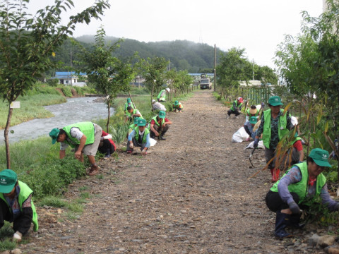 가산골마을 새/농 지내천뚝길 잡초제거