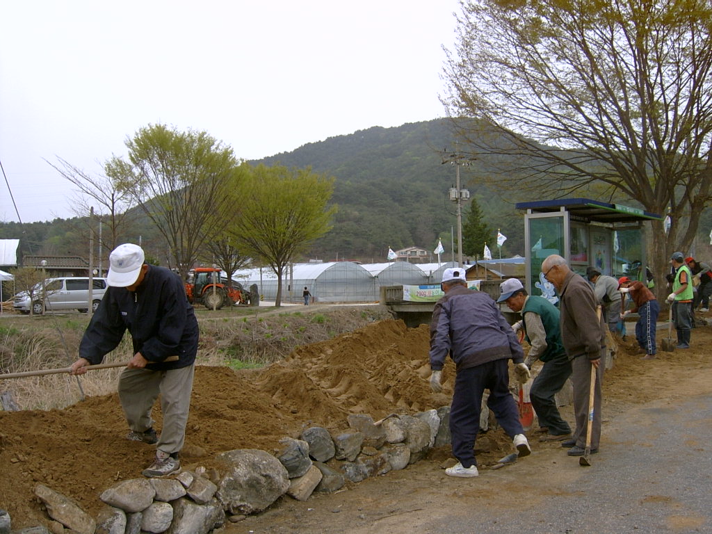 지내3리 야생화 식재