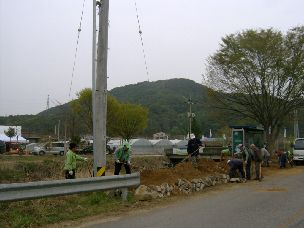 지내3리 야생화 식재