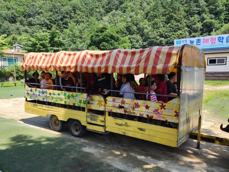 농촌생활 현장체험