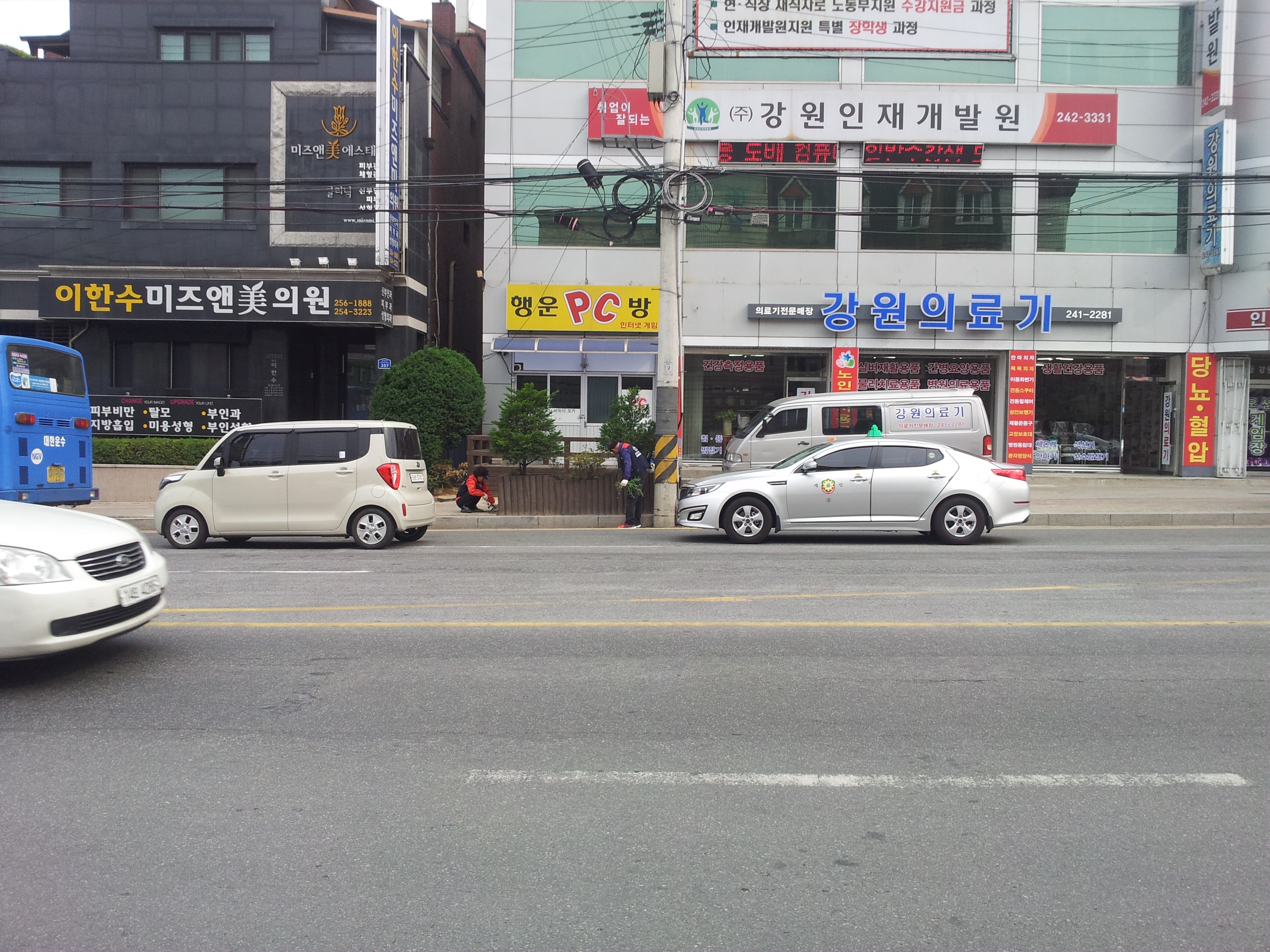 2014년 2차 가꾸미사업 식재
