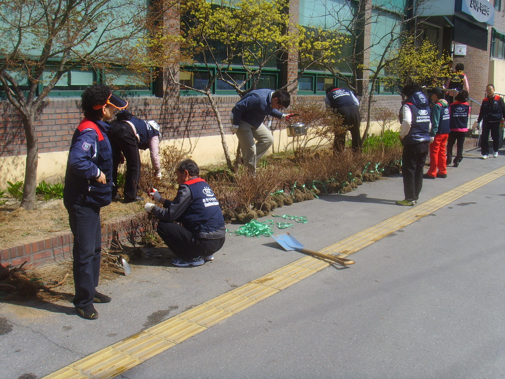 2011년 가꾸미 운동