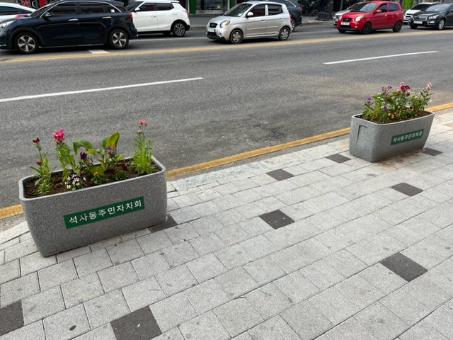 석사동 봄꽃 식재