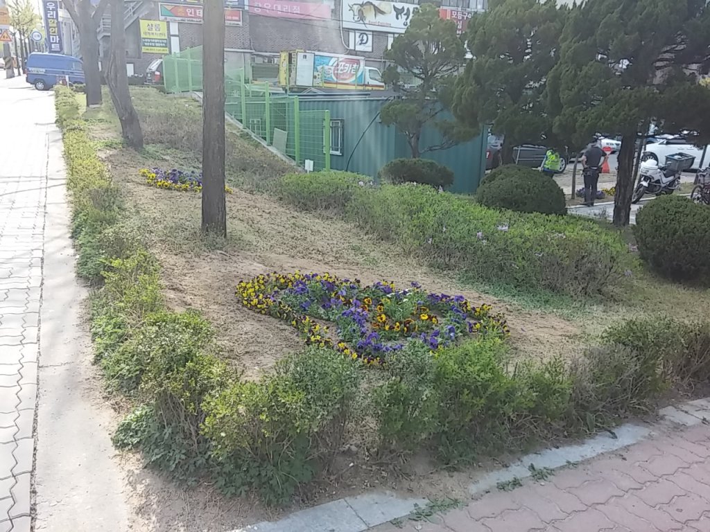 후평1동주민센터 화단 정비