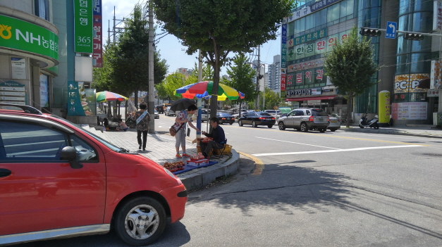 245차 안전 점검의 날 안내