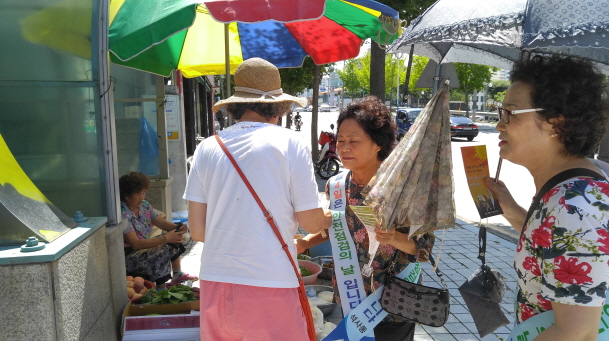 245차 안전 점검의 날 안내
