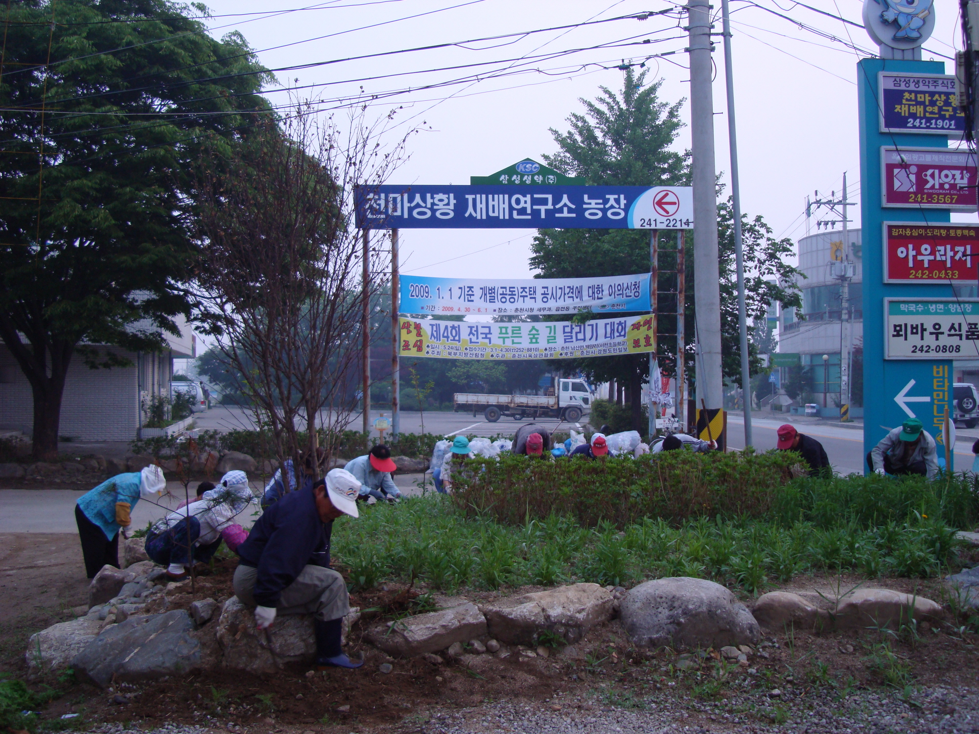 가산골 새/농 추진단 화단 제초작업 (면사무소 앞)