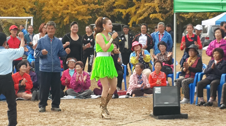 2015년 면민체육행사