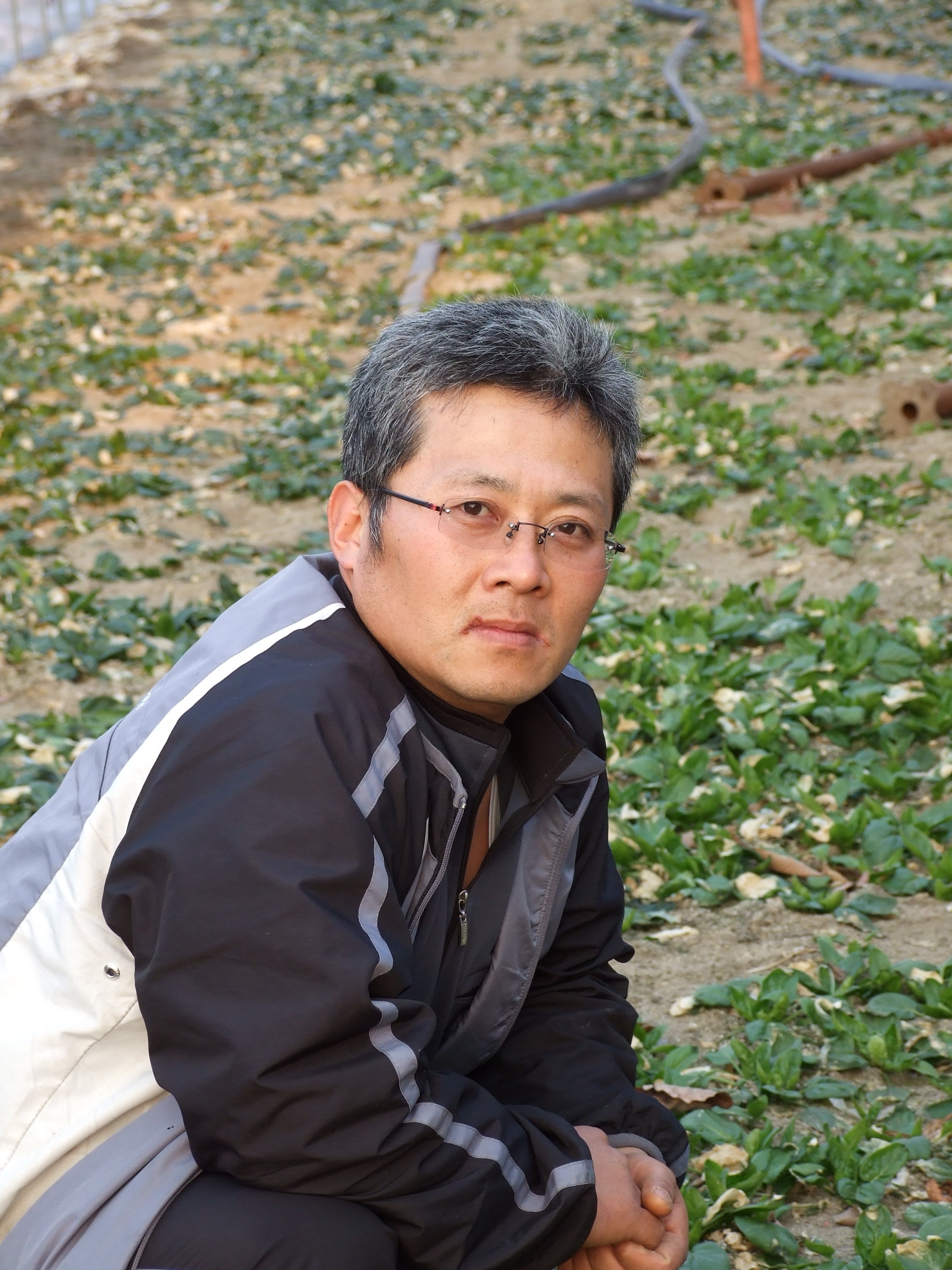 신동면 특산품 - 시금치
