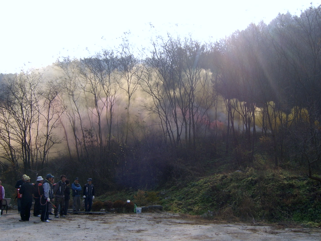 산불진화