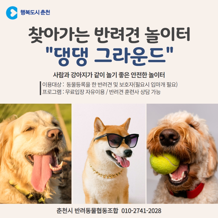 찾아가는 반려견 놀이터  댕댕그라운드