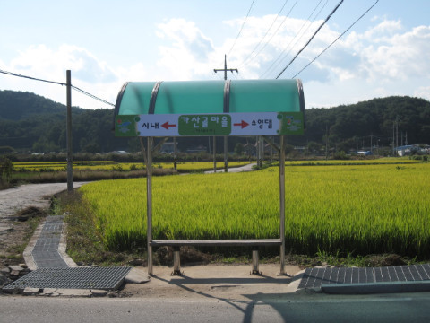 가산골마을 새/농추진단 마을환경정비