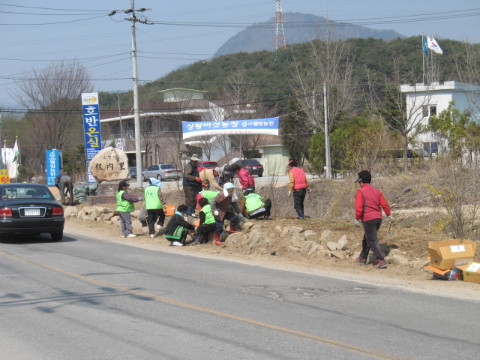 지내1리 가꾸미 사업