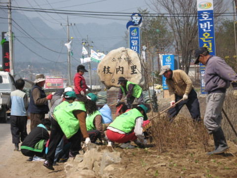 지내1리 가꾸미 사업
