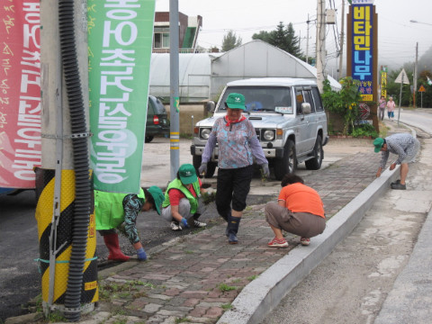 가산골마을 새/농 마을도로변정비