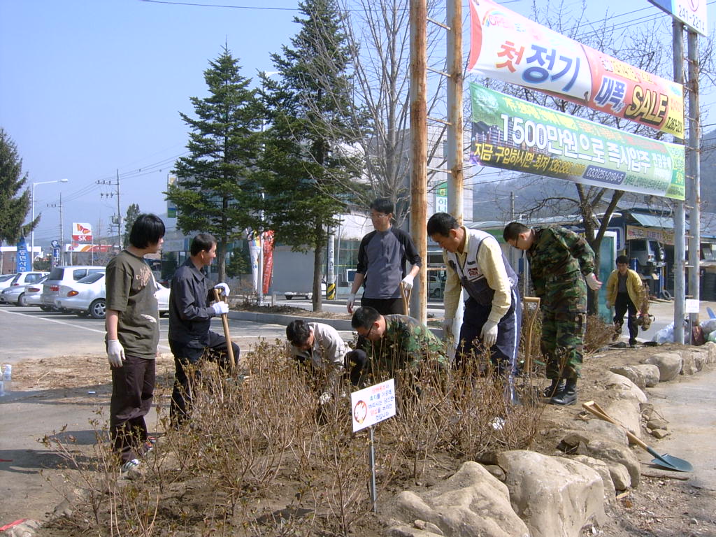면청사 주변 환경정비