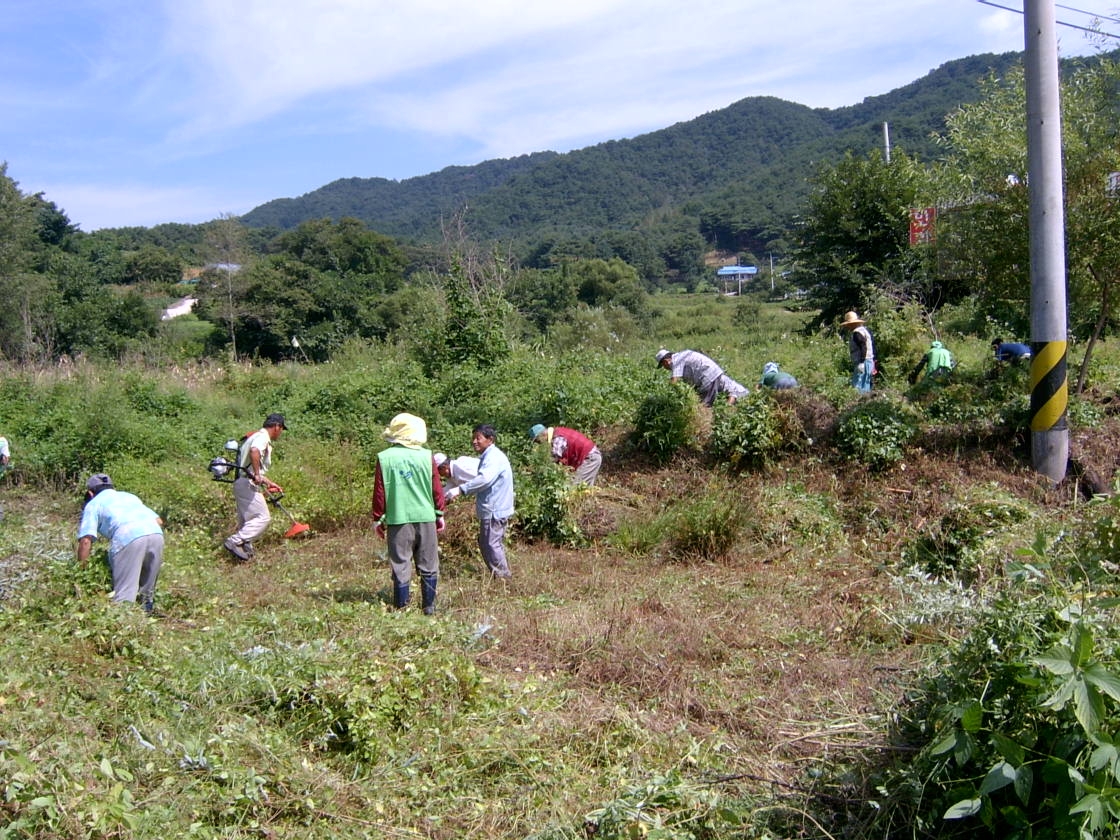 월곡리공동퇴비증산운동