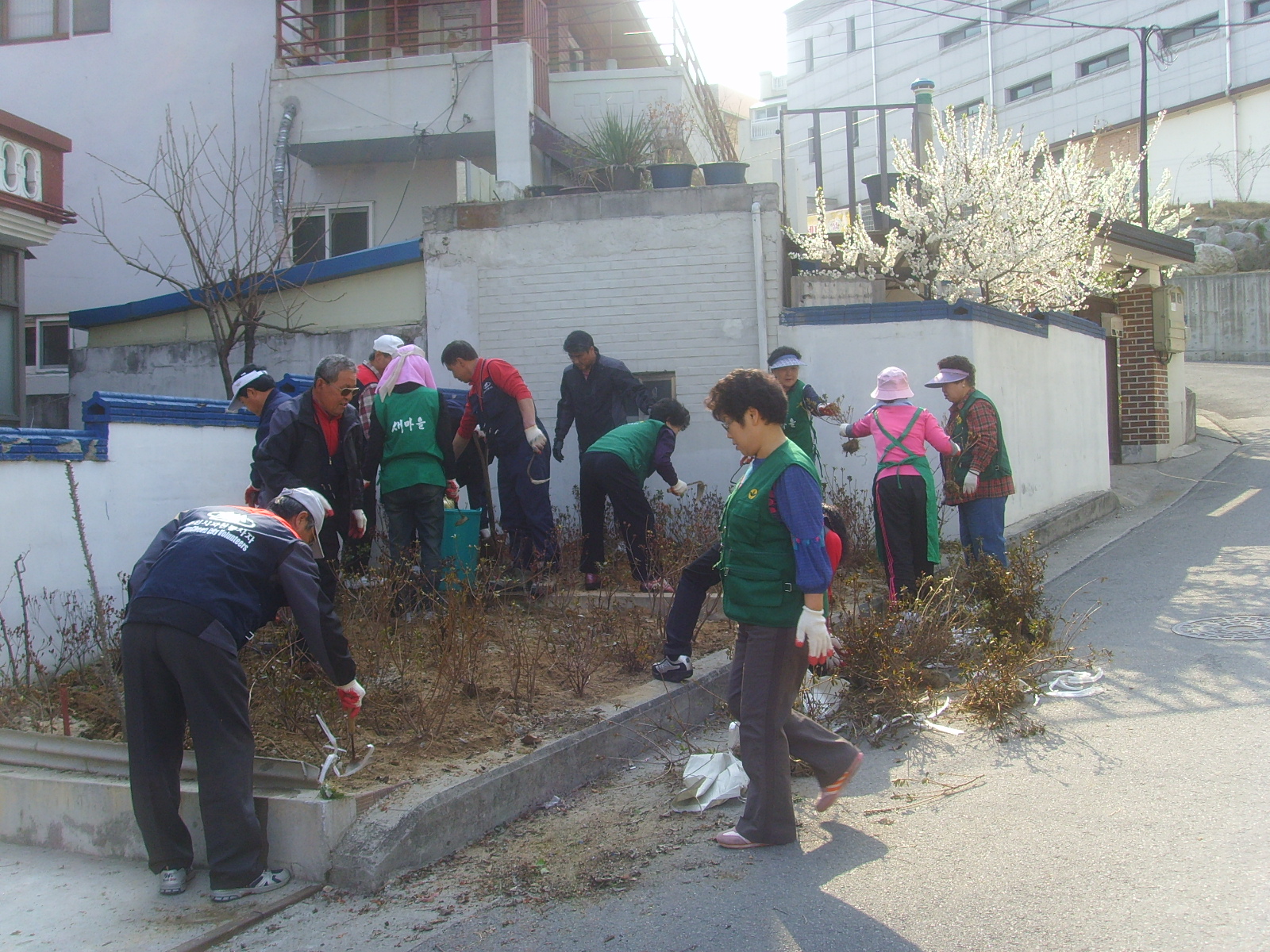 2009_4_9 가꾸미운동사진
