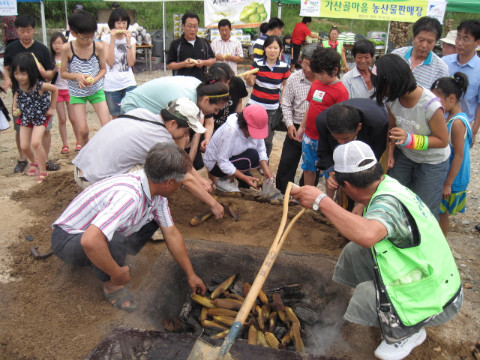 옥수수 삼곳 체험