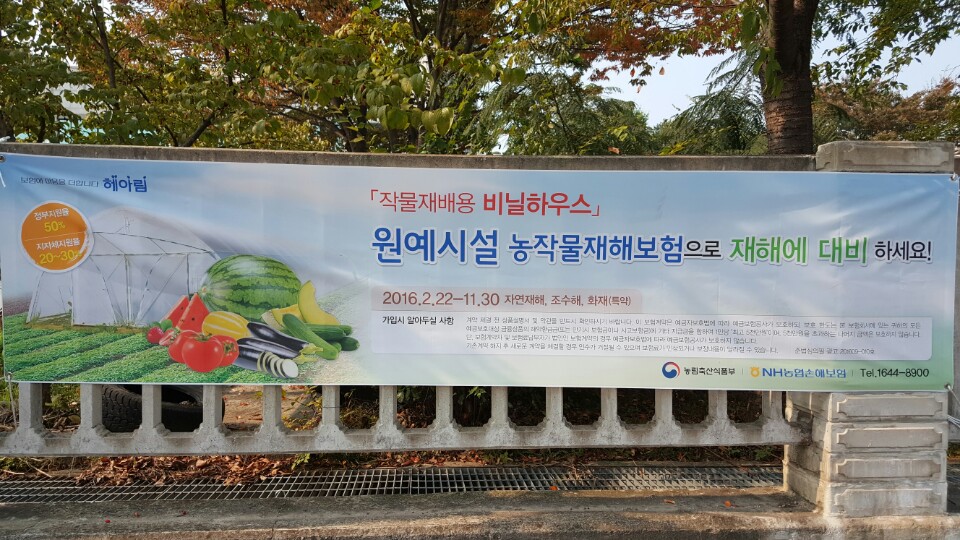 원예시설 농작물재해보험