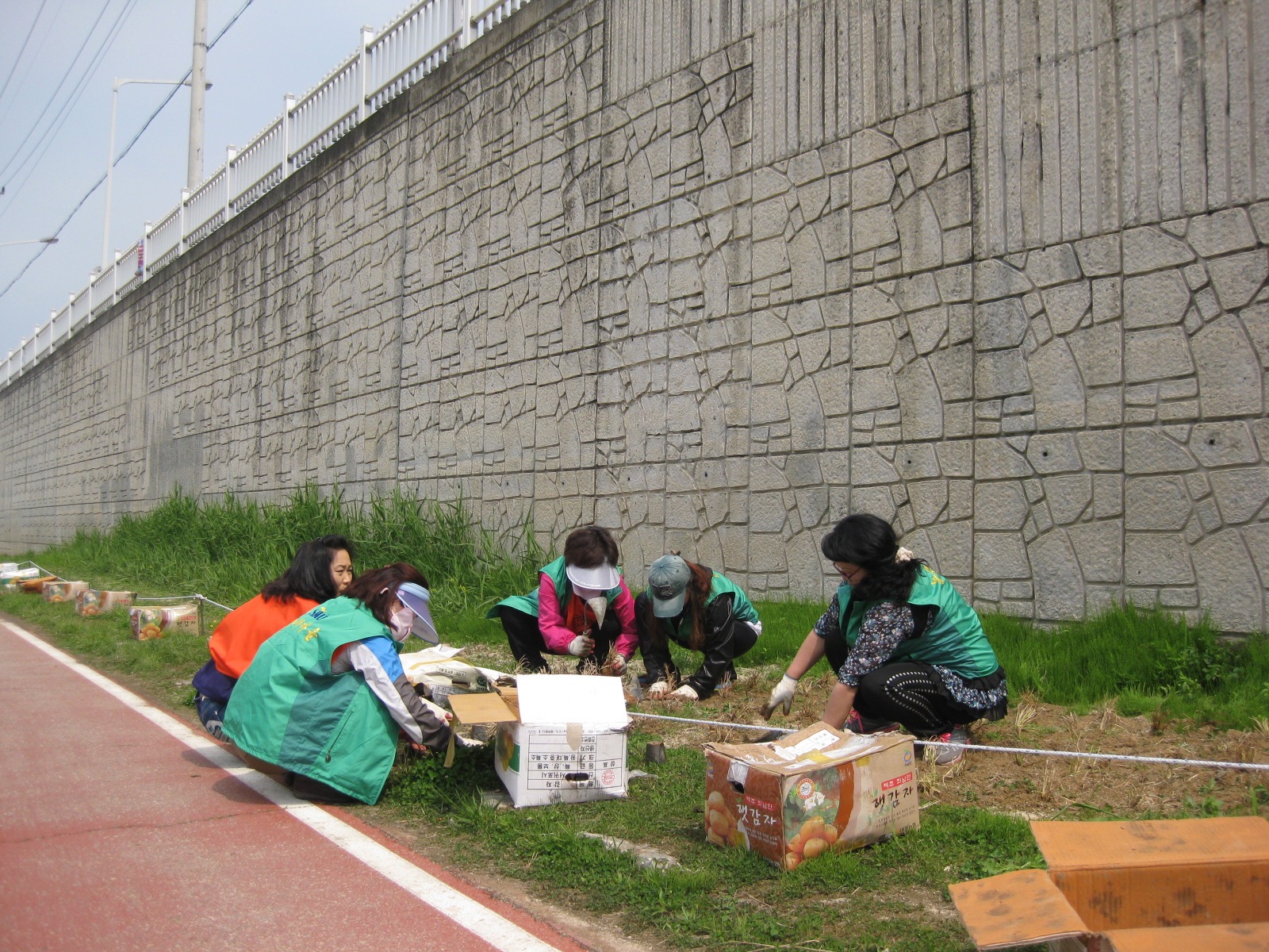 공지천 낭만산책로 가꾸기5