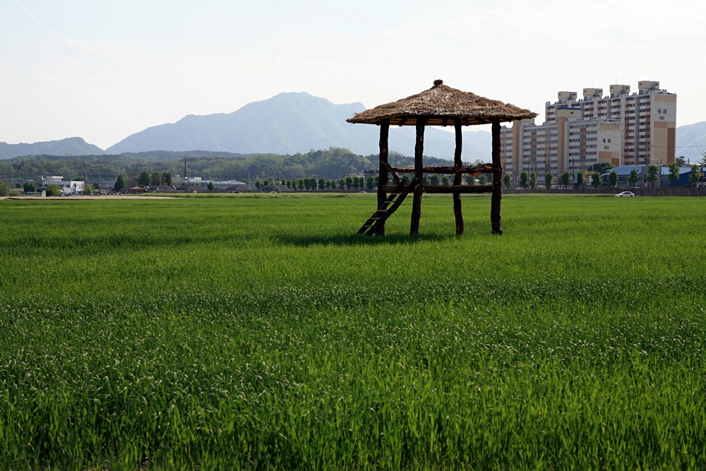 구경오세요