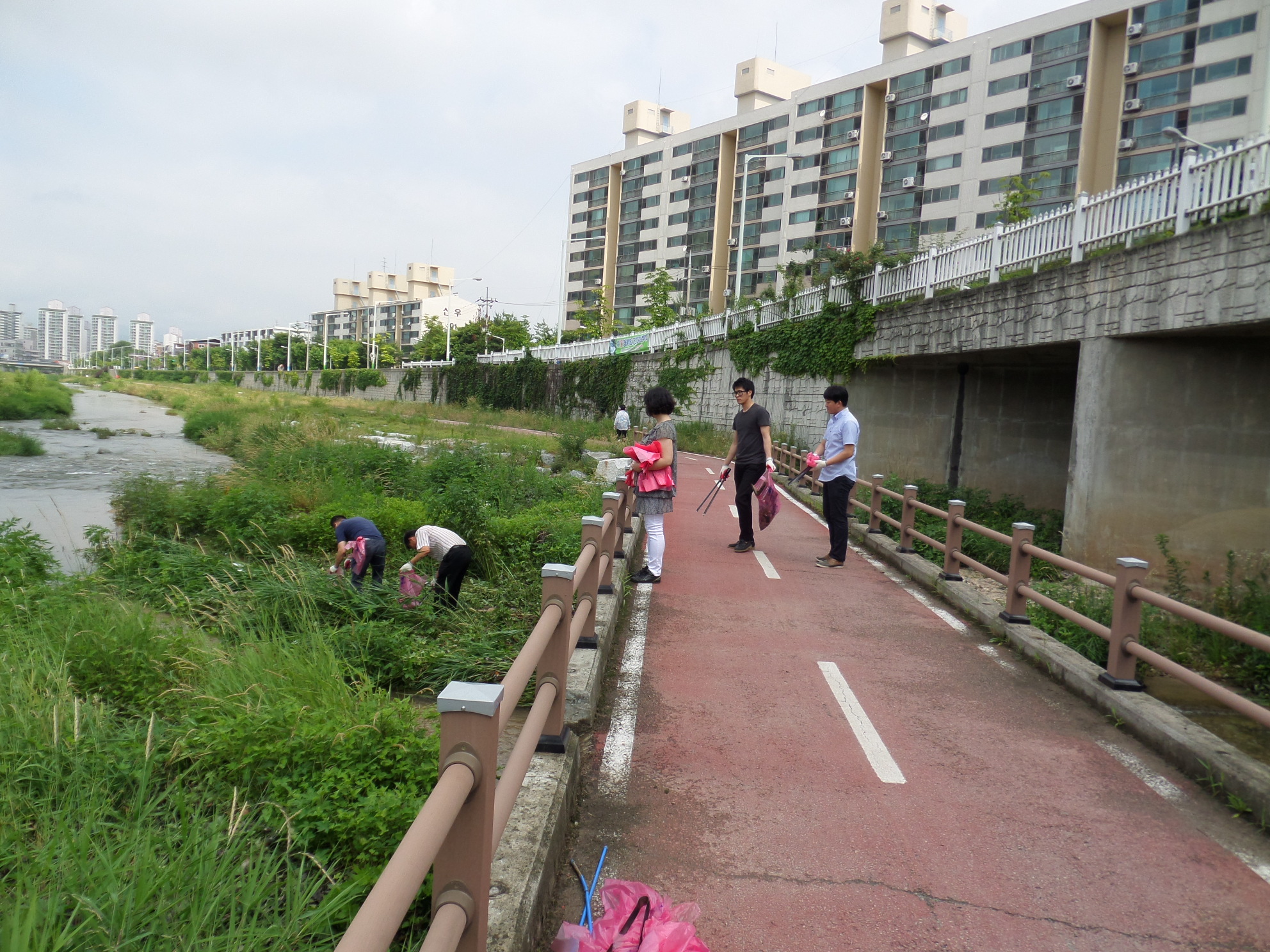 석사동 하천살리기실천단 대청소