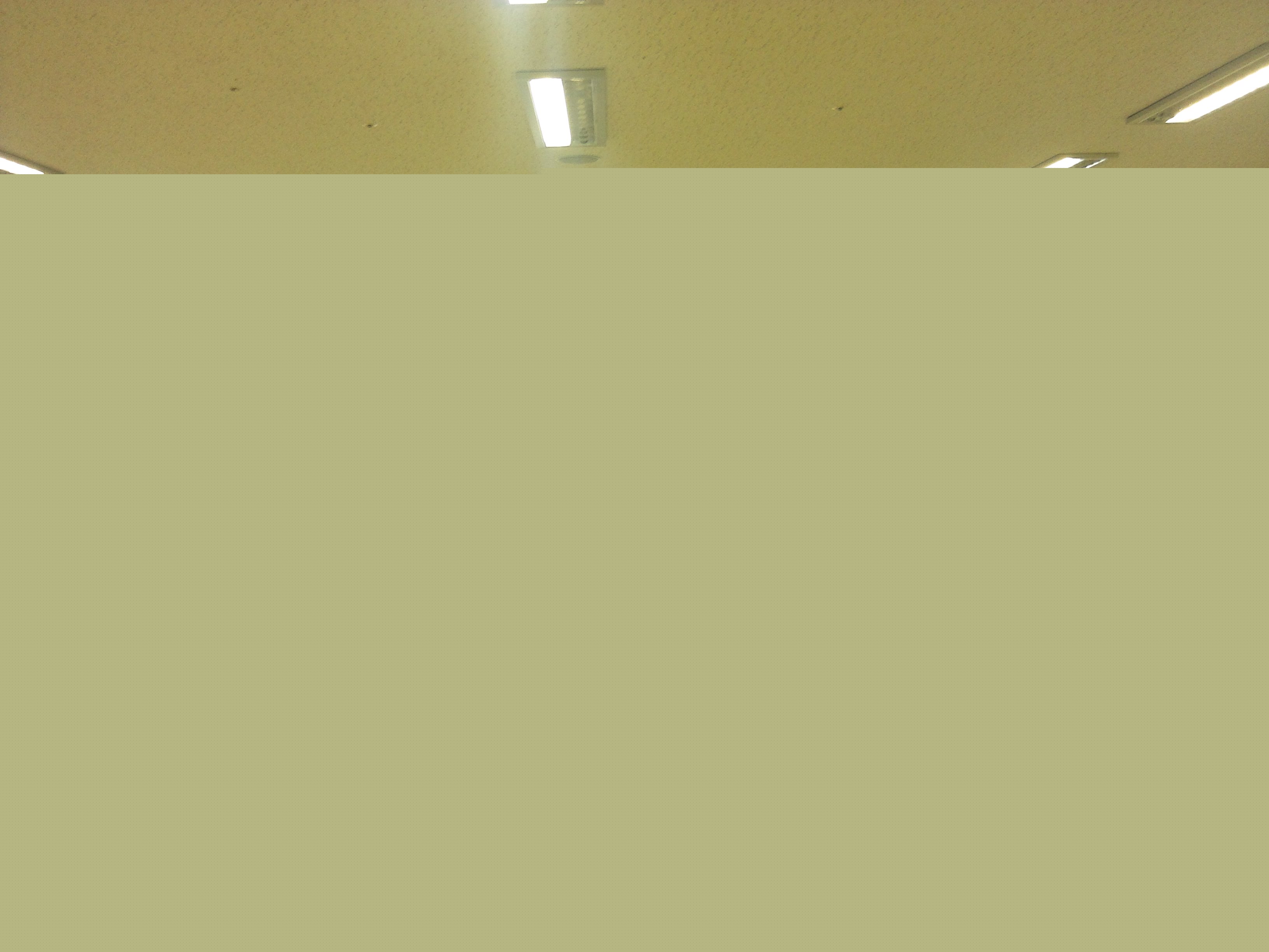 제35회 소양강문화제 시민화합큰잔치 실무담당자 회의 참석