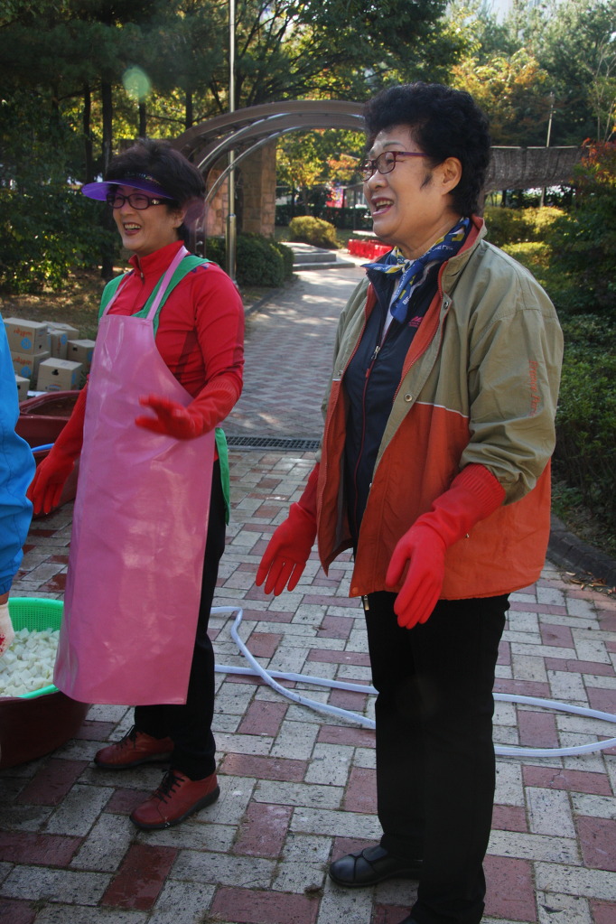 제11회 무릉마을 축제 3