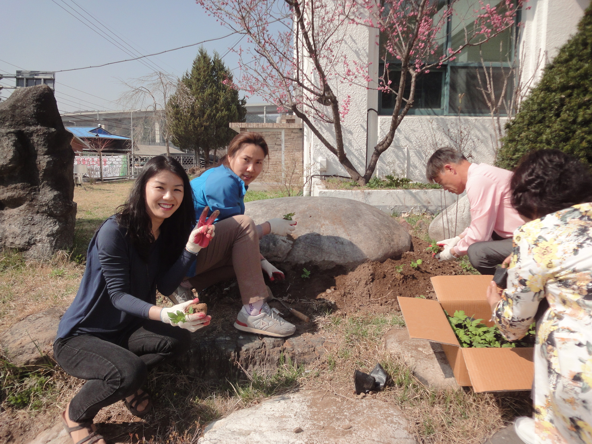 동산면사무소 식목행사